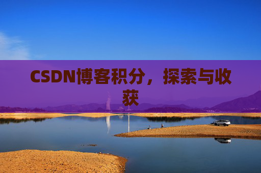 CSDN博客积分，探索与收获